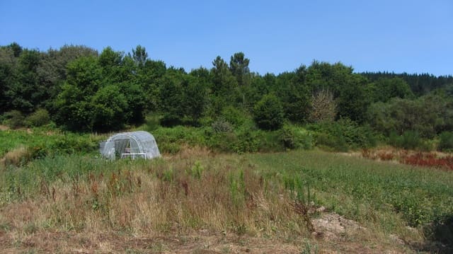 3 soveværelse Finca/Landehus til salg i Pantón med garage - € 95.000 (Ref: 9163109)