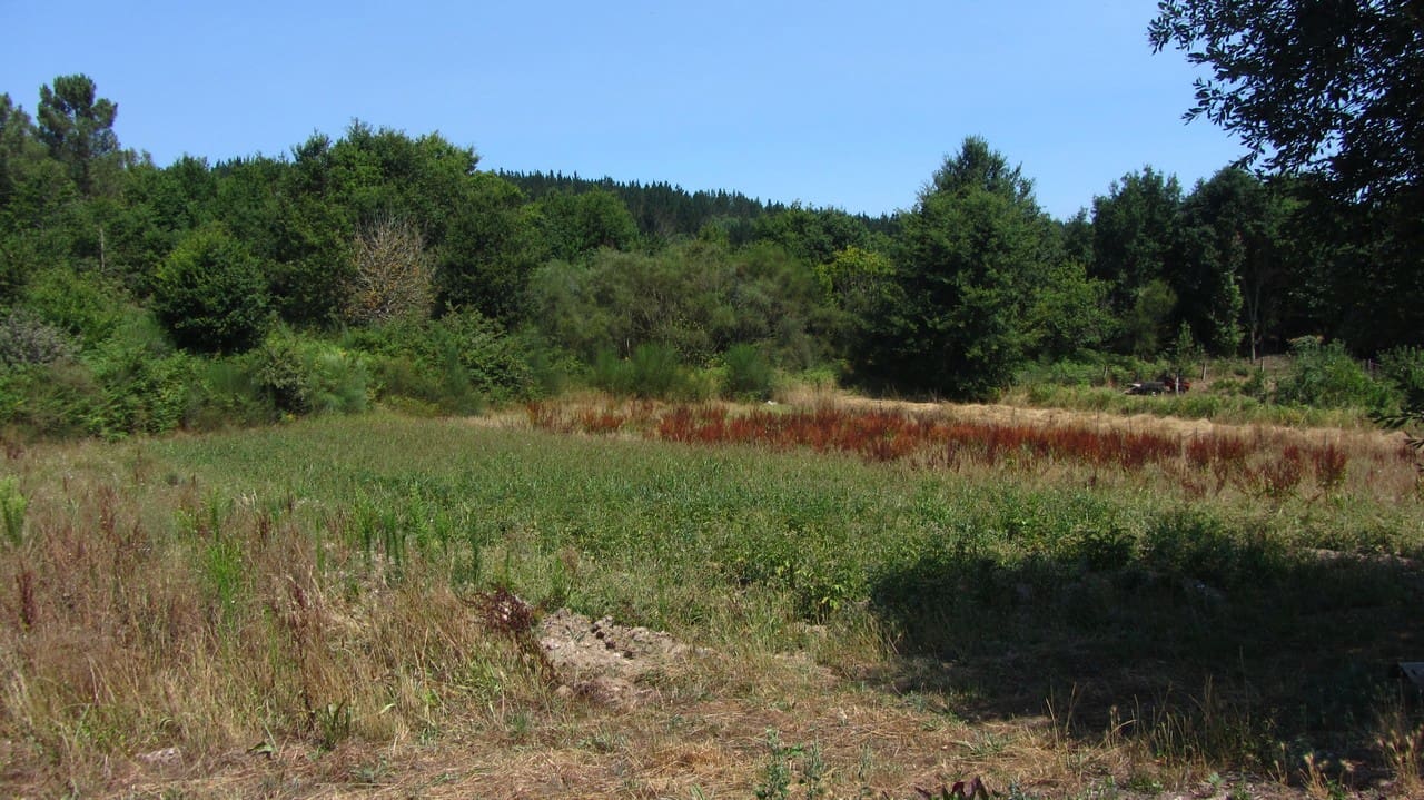 3 soveværelse Finca/Landehus til salg i Panton med garage - € 95.000 (Ref: 9163109)