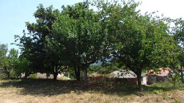 3 soveværelse Finca/Landehus til salg i Pantón med garage - € 95.000 (Ref: 9163109)