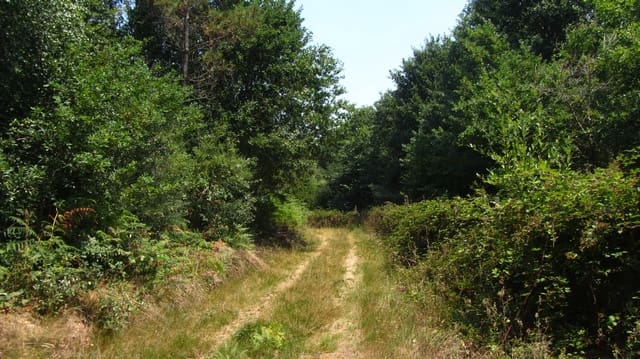 3 quarto Quinta/Casa Rural para venda em Pantón com garagem - 48 000 € (Ref: 9211535)