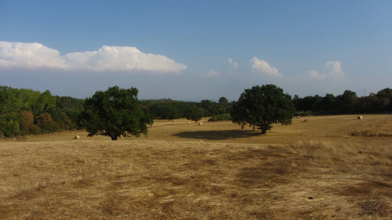 4 bedroom Finca/Country House for sale in Monforte de Lemos with garage - € 220,000 (Ref: 9269004)