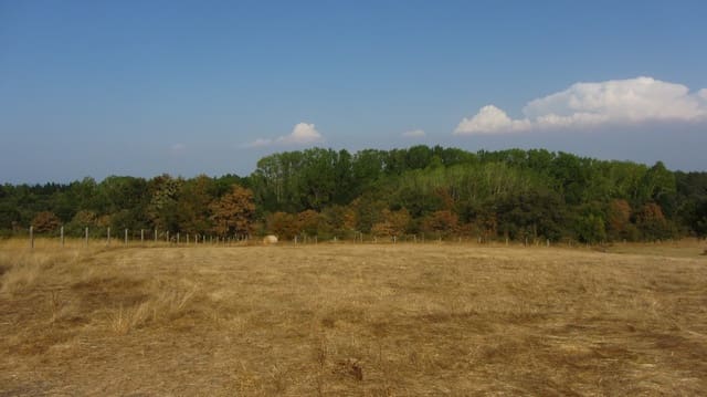 4 bedroom Finca/Country House for sale in Monforte de Lemos with garage - € 220,000 (Ref: 9269004)