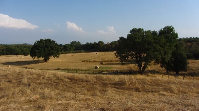 4 bedroom Finca/Country House for sale in Monforte de Lemos with garage - € 220,000 (Ref: 9269004)