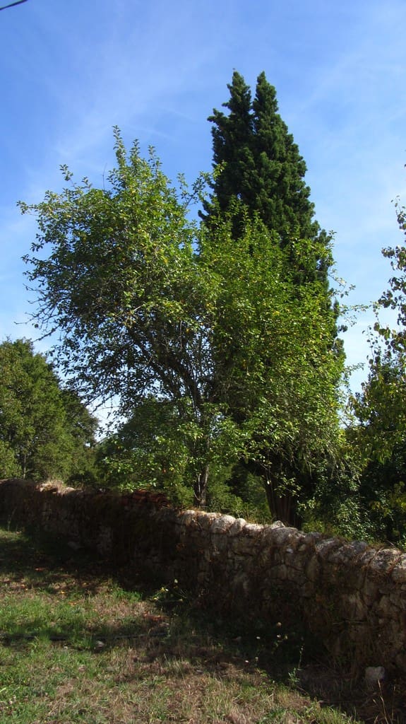 2 soveværelse Finca/Landehus til salg i Escairon - € 25.000 (Ref: 9337346)