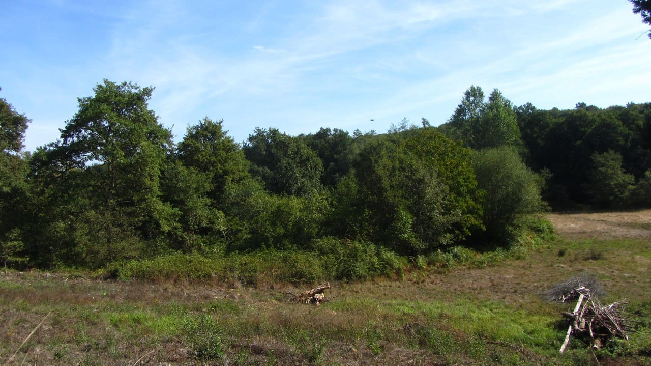 2 soveværelse Finca/Landehus til salg i Escairon - € 25.000 (Ref: 9337346)