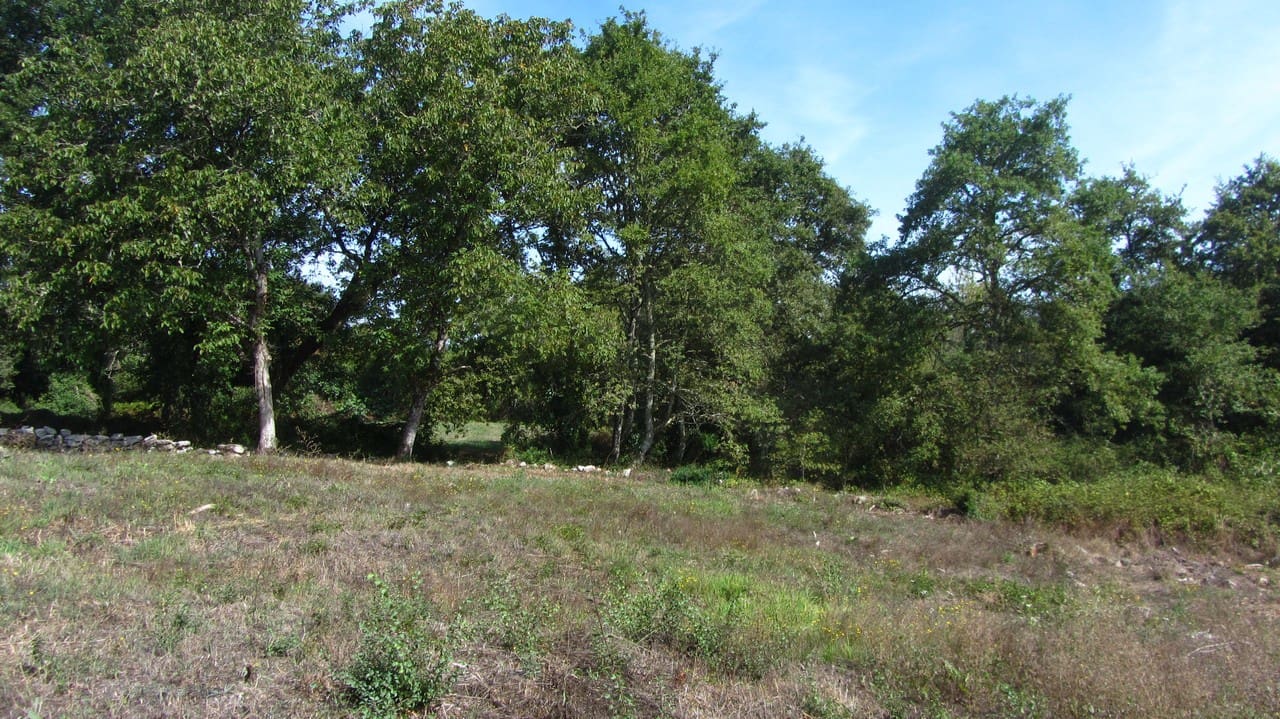 2 soveværelse Finca/Landehus til salg i Escairon - € 25.000 (Ref: 9337346)