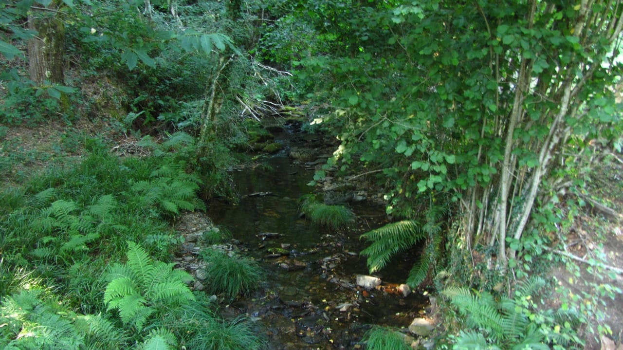 4 camera da letto Finca/Casa di Campagna in vendita in A Pobra de Brollon - 39.000 € (Rif: 9382013)