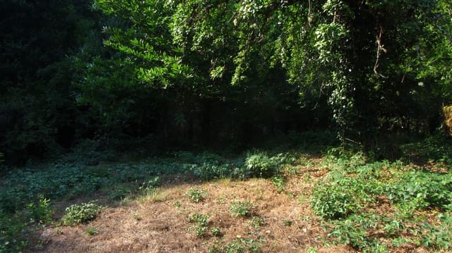 Finca/Casa Rural de 4 habitaciones en A Pobra de Brollón en venta - 39.000 € (Ref: 9382013)