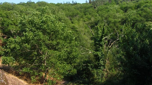 Finca/Casa Rural de 4 habitaciones en A Pobra de Brollón en venta - 39.000 € (Ref: 9382013)