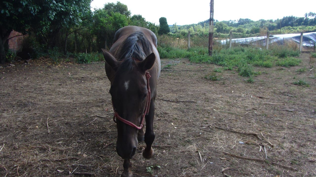 3 makuuhuone Maalaistalo myytävänä paikassa A Pobra de Brollon - 58 000 € (Ref: 9410299)