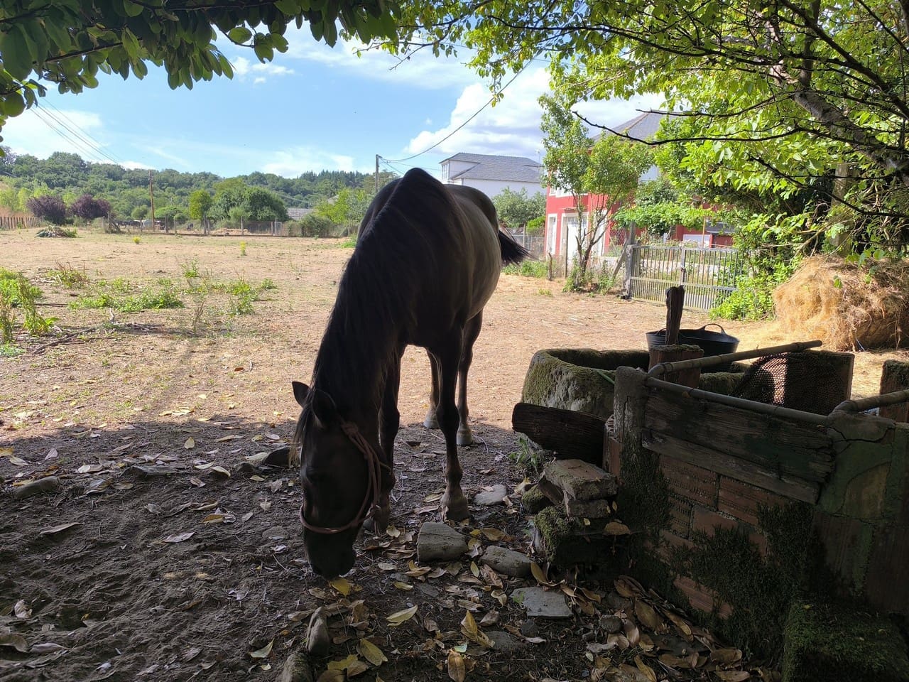 3 makuuhuone Maalaistalo myytävänä paikassa A Pobra de Brollon - 58 000 € (Ref: 9410299)