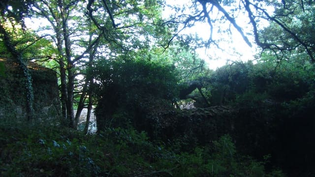 Finca/Landhuis te koop in Chantada - € 45.000 (Ref: 9496544)