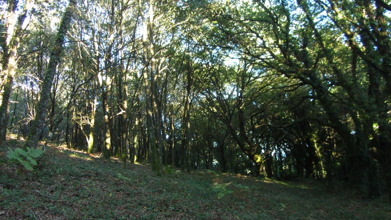 Finca/Country House for sale in Chantada - € 45,000 (Ref: 9496544)