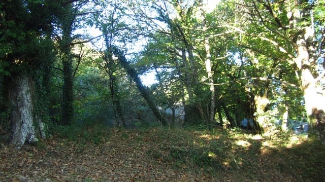 Finca/Landhuis te koop in Chantada - € 45.000 (Ref: 9496544)