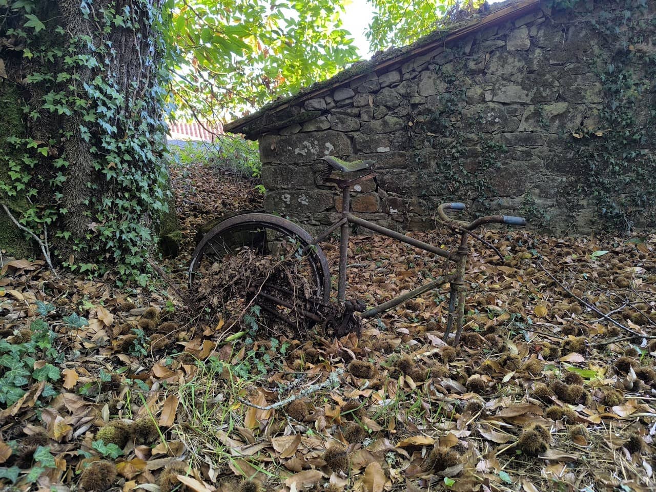 Finca/Country House for sale in Chantada - € 45,000 (Ref: 9496544)