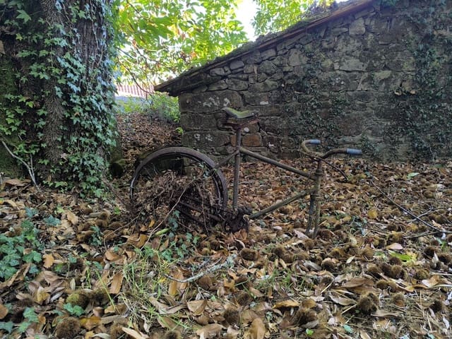 Finca/Landhuis te koop in Chantada - € 45.000 (Ref: 9496544)