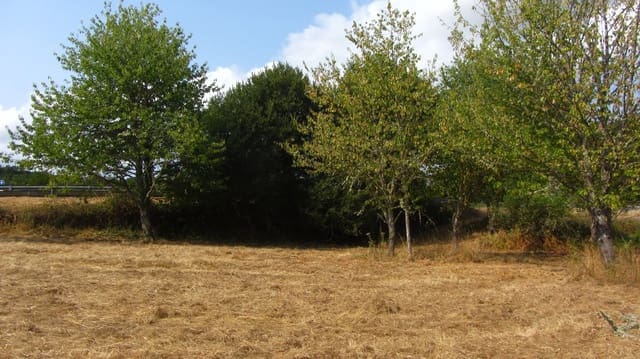 3 chambre Finca/Maison de Campagne à vendre à Pantón avec garage - 70 000 € (Ref: 9532993)