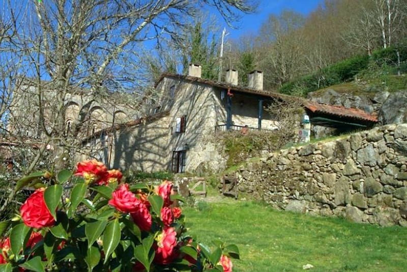 7 quarto Empresa para venda em O Savinao com garagem - 310 000 € (Ref: 9554301)