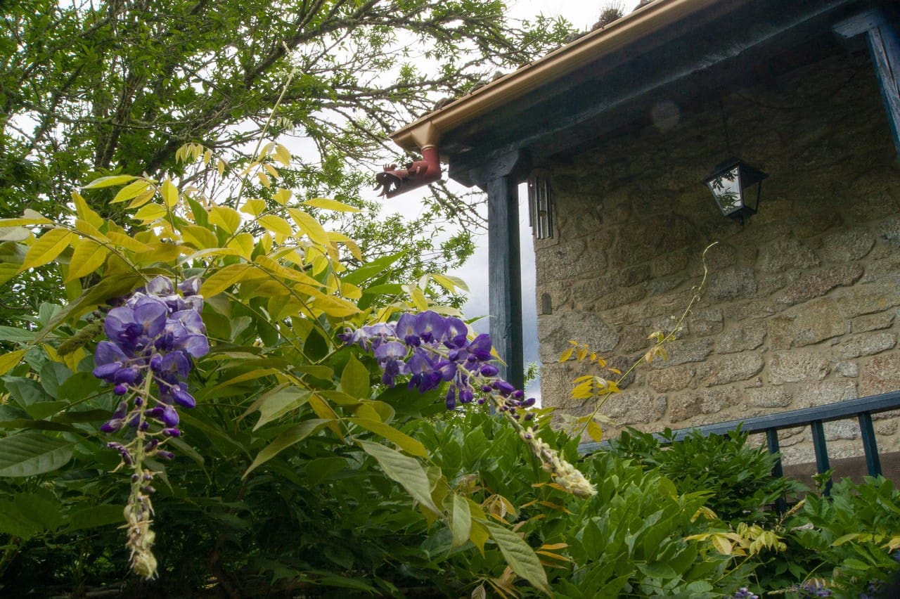 7 quarto Empresa para venda em O Savinao com garagem - 310 000 € (Ref: 9554301)