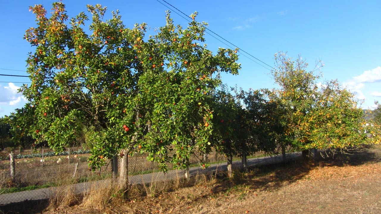 5 camera da letto Finca/Casa di Campagna in vendita in A Pobra de Brollon con garage - 110.000 € (Rif: 9614297)