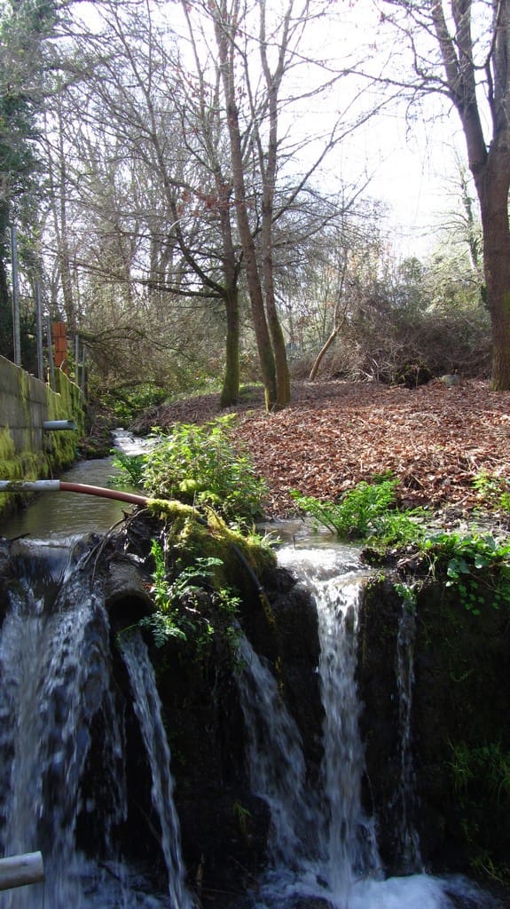 3 chambre Finca/Maison de Campagne à vendre à Panton - 70 000 € (Ref: 9635048)