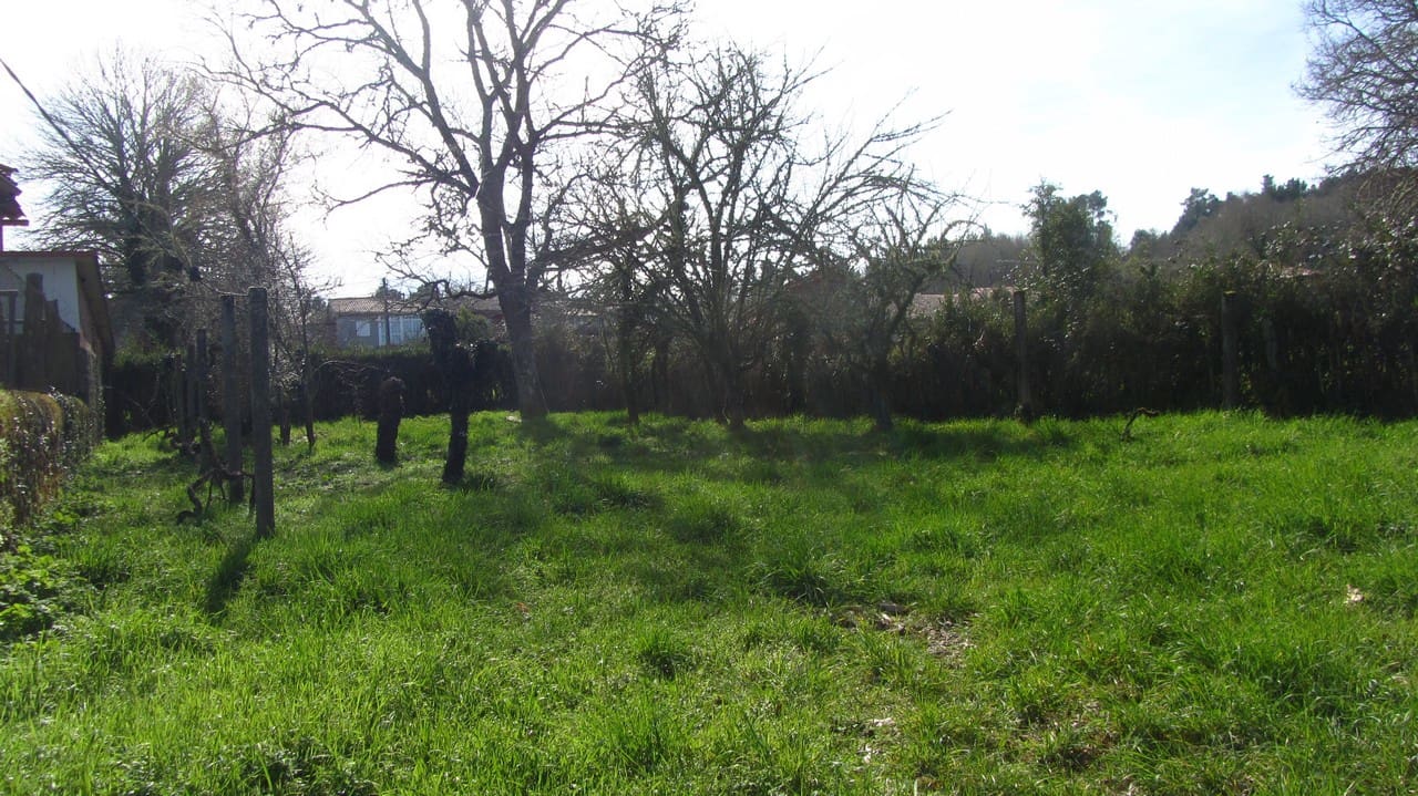 3 chambre Finca/Maison de Campagne à vendre à Panton - 70 000 € (Ref: 9635048)