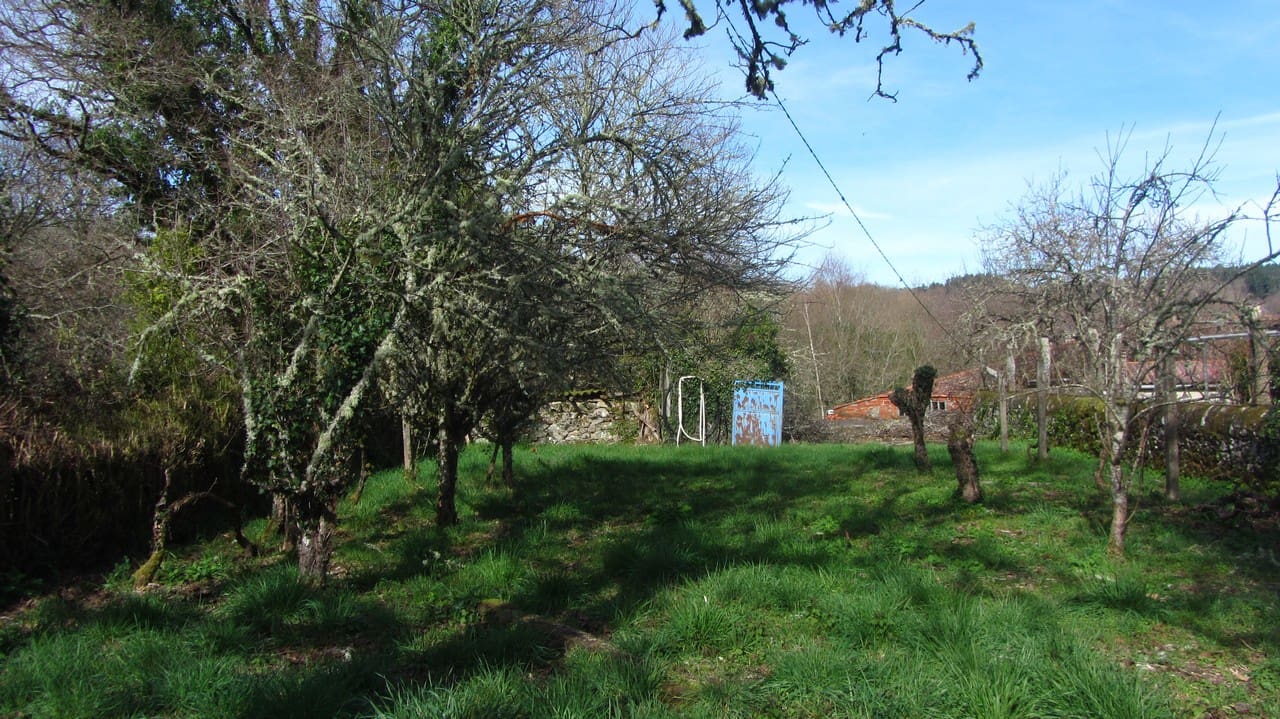 3 chambre Finca/Maison de Campagne à vendre à Panton - 70 000 € (Ref: 9635048)