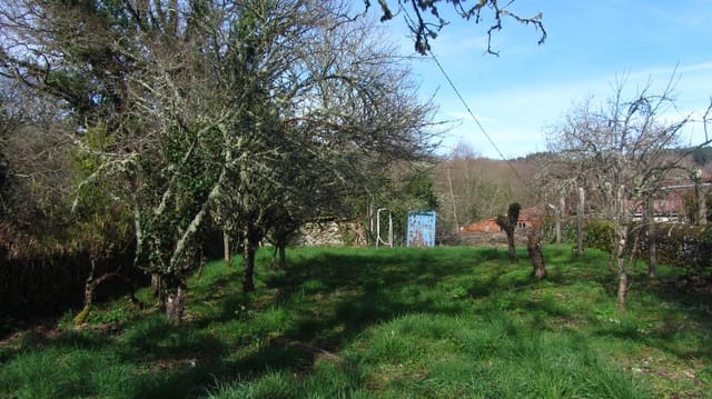 3 chambre Finca/Maison de Campagne à vendre à Pantón - 70 000 € (Ref: 9635048)