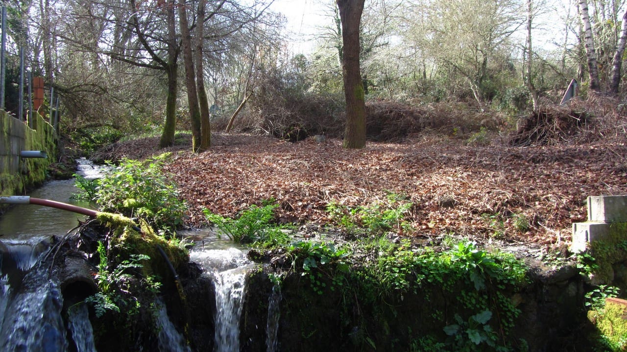 3 chambre Finca/Maison de Campagne à vendre à Panton - 70 000 € (Ref: 9635048)