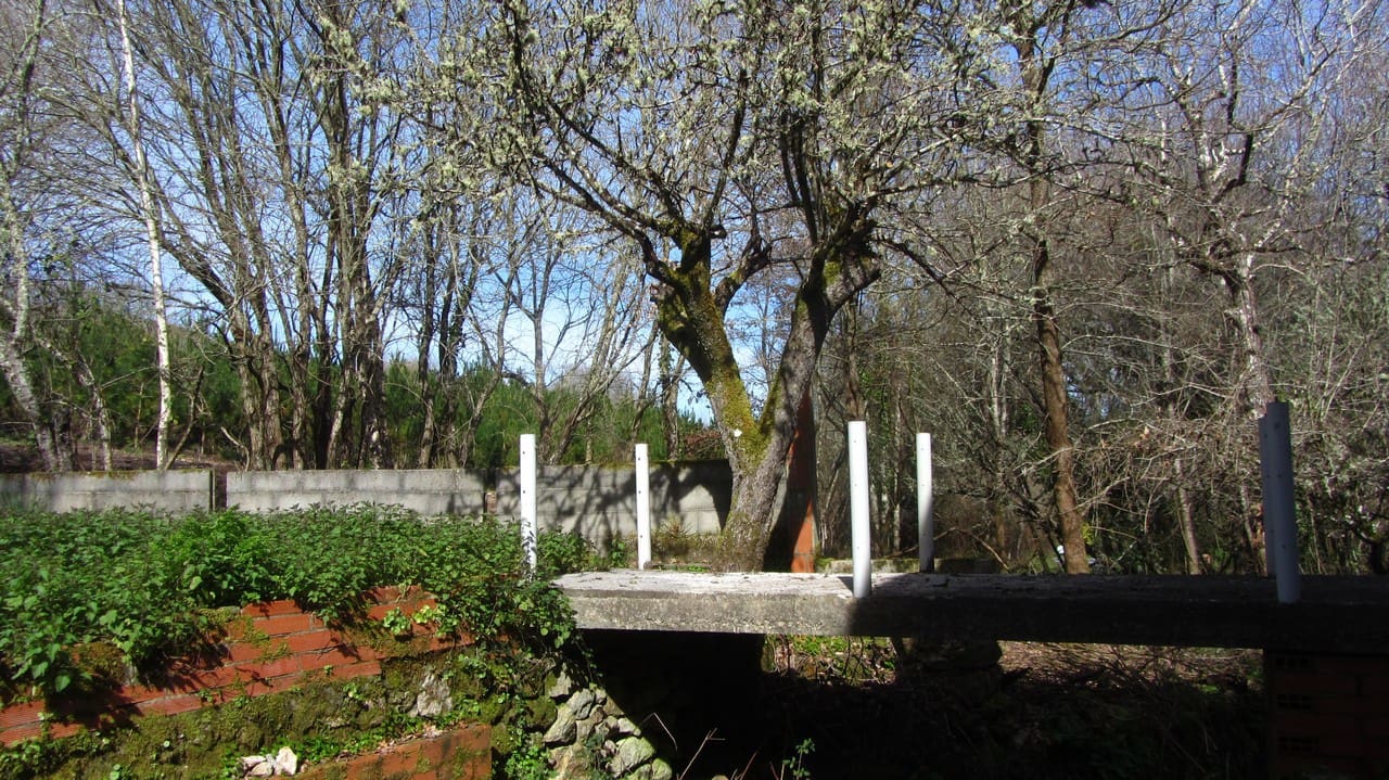 3 chambre Finca/Maison de Campagne à vendre à Panton - 70 000 € (Ref: 9635048)