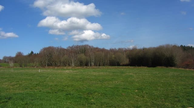 3 sypialnia Finka/Dom wiejski na sprzedaż w Antas de Ulla z garażem - 199 000 € (Ref: 9657868)