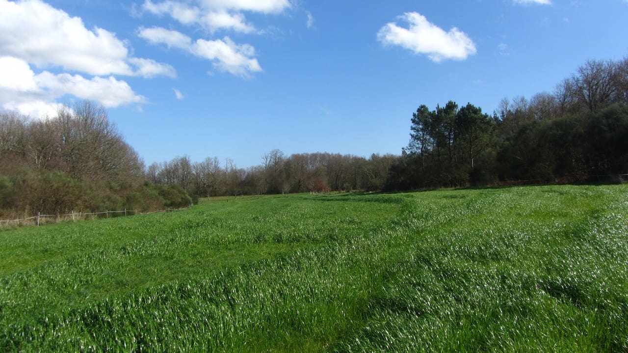 3 camera da letto Finca/Casa di Campagna in vendita in Antas de Ulla con garage - 199.000 € (Rif: 9657868)