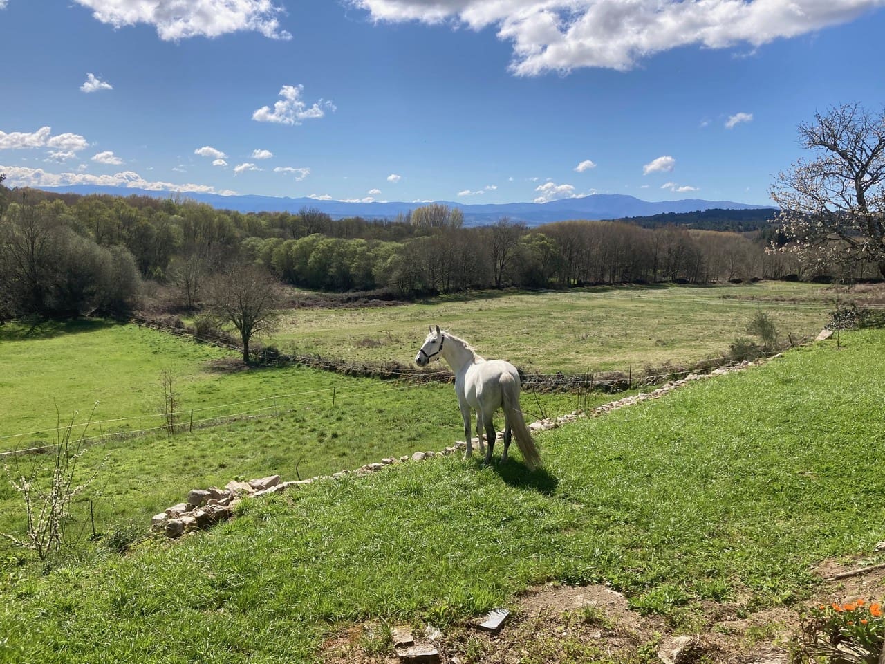 4 bedroom Finca/Country House for sale in Panton - € 295,000 (Ref: 9665393)
