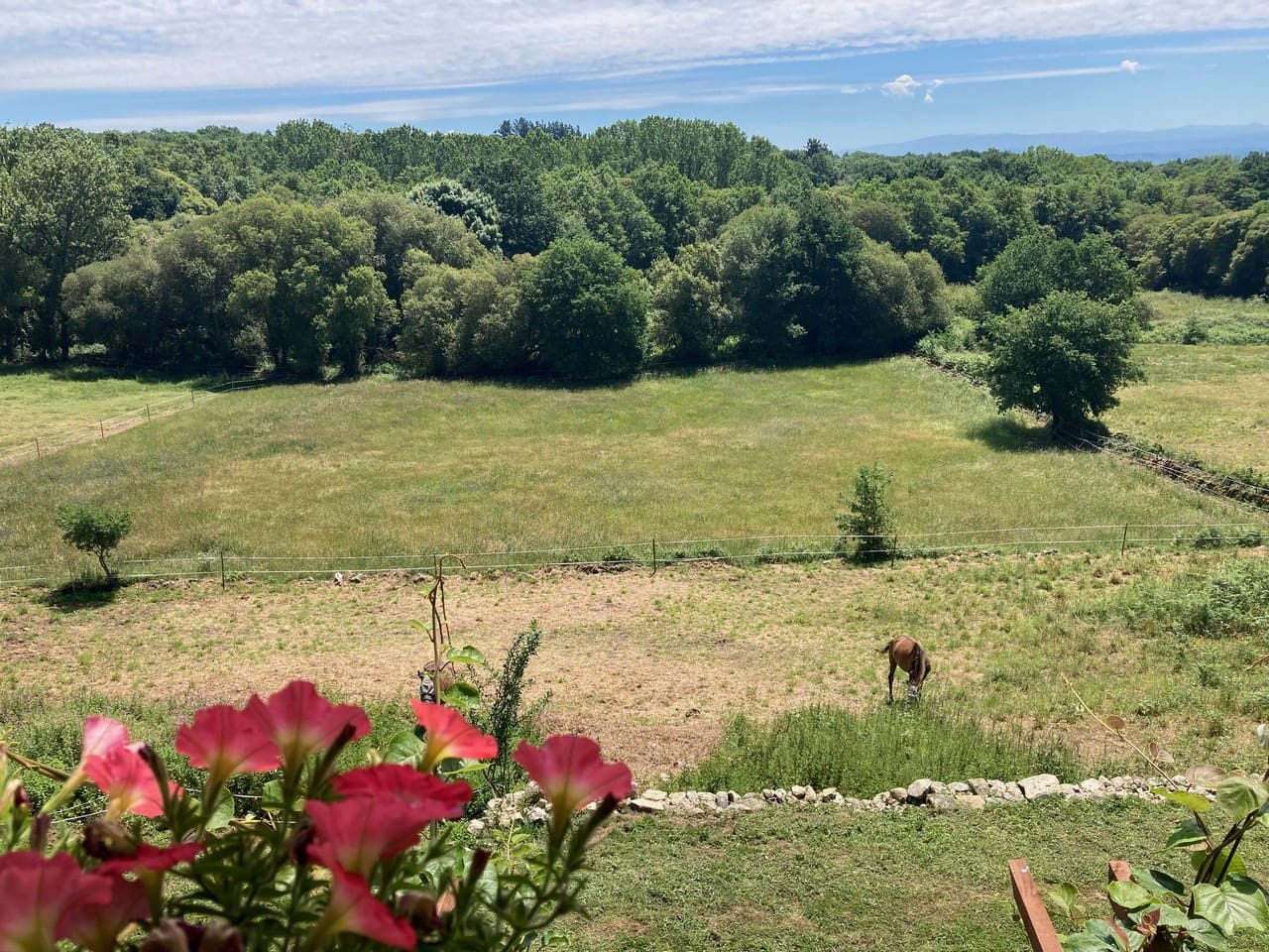 4 bedroom Finca/Country House for sale in Panton - € 295,000 (Ref: 9665393)