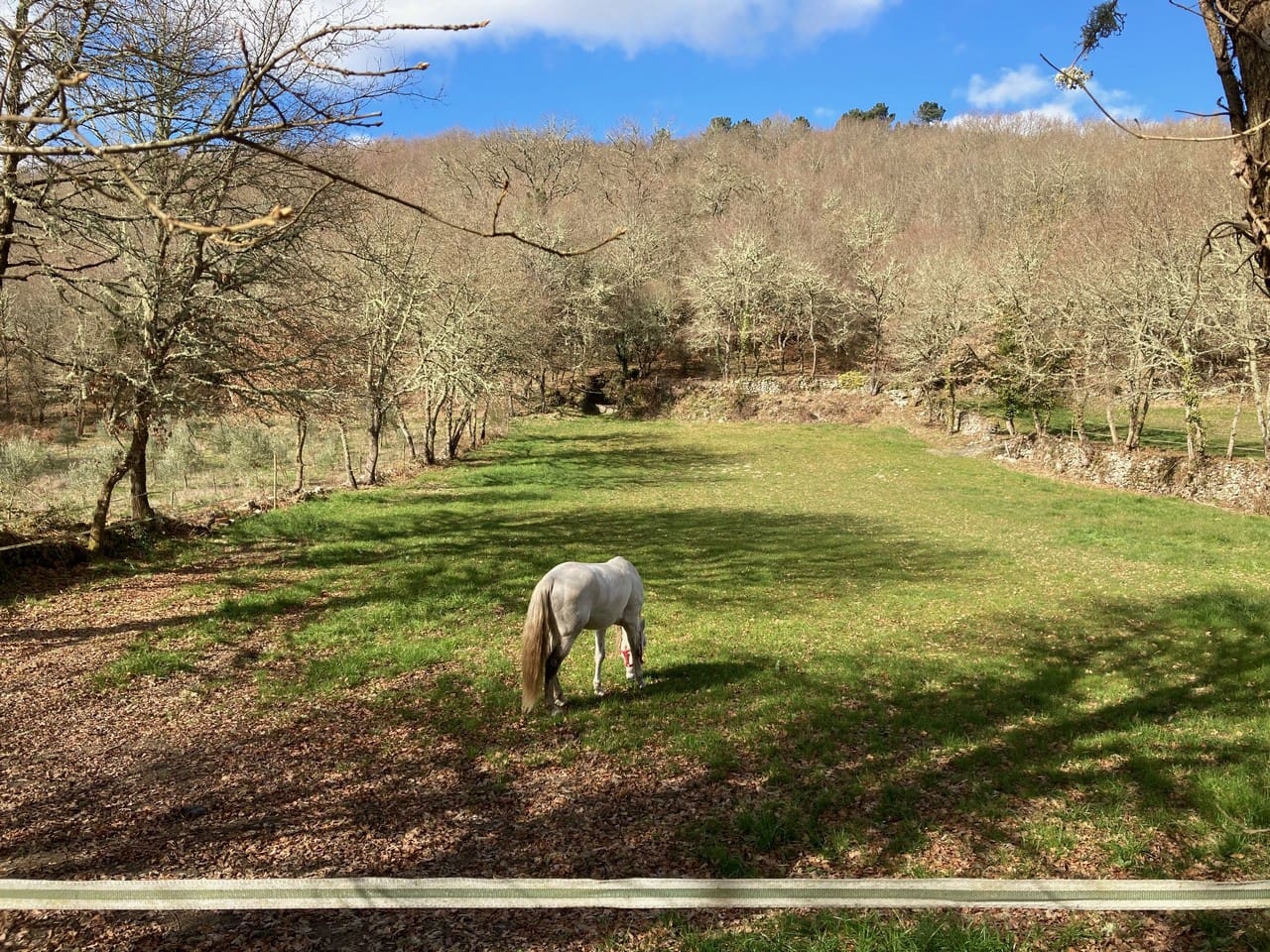 4 bedroom Finca/Country House for sale in Panton - € 295,000 (Ref: 9665393)