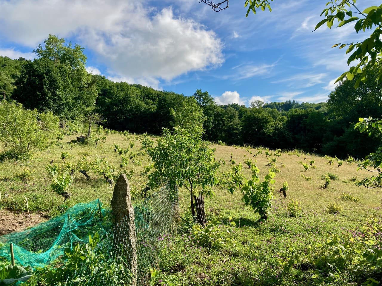 4 bedroom Finca/Country House for sale in Panton - € 295,000 (Ref: 9665393)