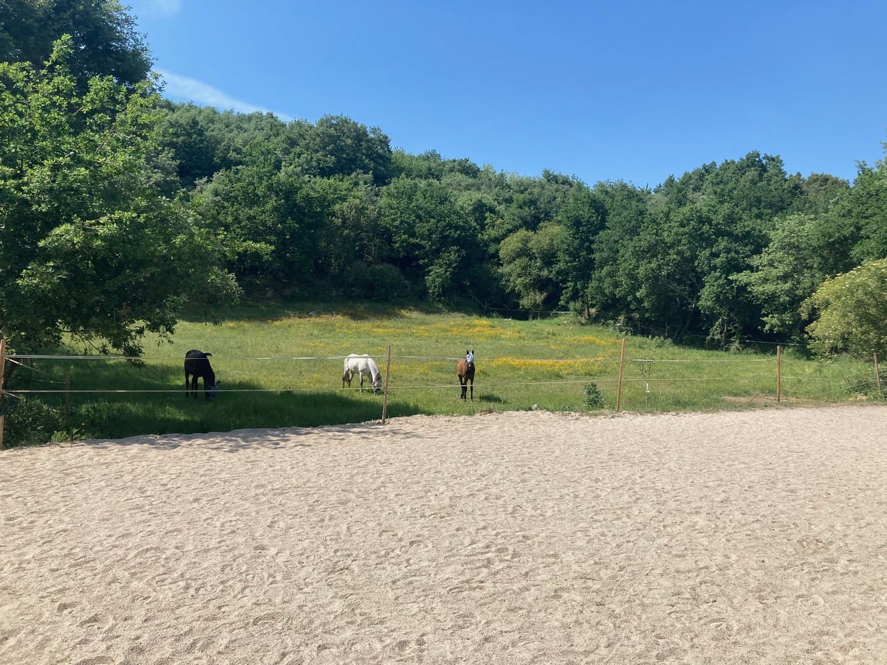 4 bedroom Finca/Country House for sale in Panton - € 295,000 (Ref: 9665393)