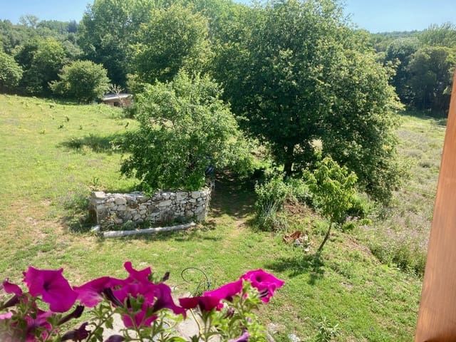 4 bedroom Finca/Country House for sale in Pantón - € 295,000 (Ref: 9665393)