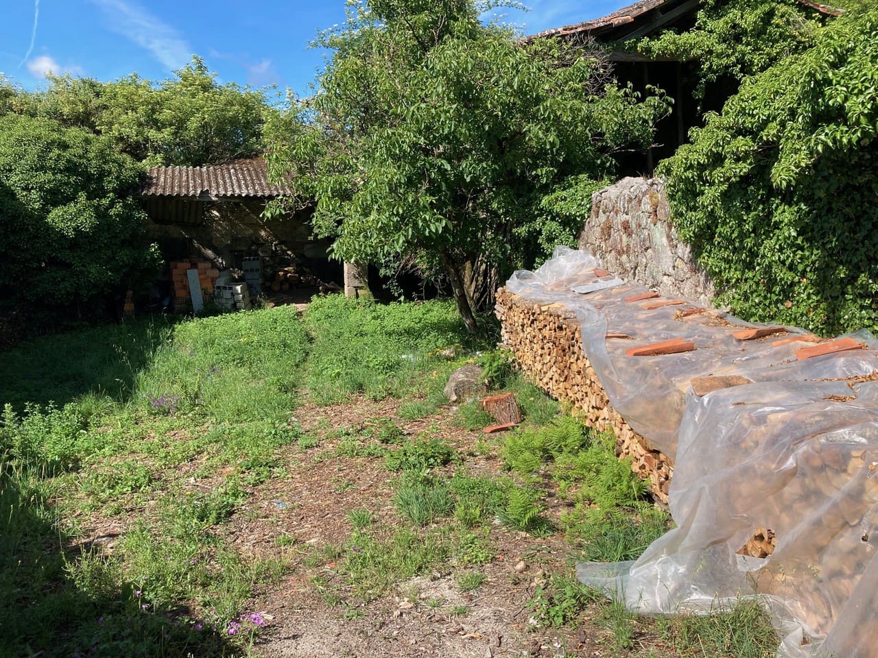 4 bedroom Finca/Country House for sale in Panton - € 295,000 (Ref: 9665393)