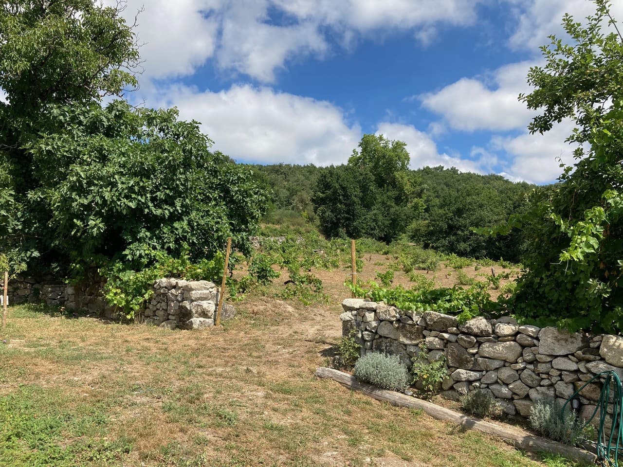 4 bedroom Finca/Country House for sale in Panton - € 295,000 (Ref: 9665393)