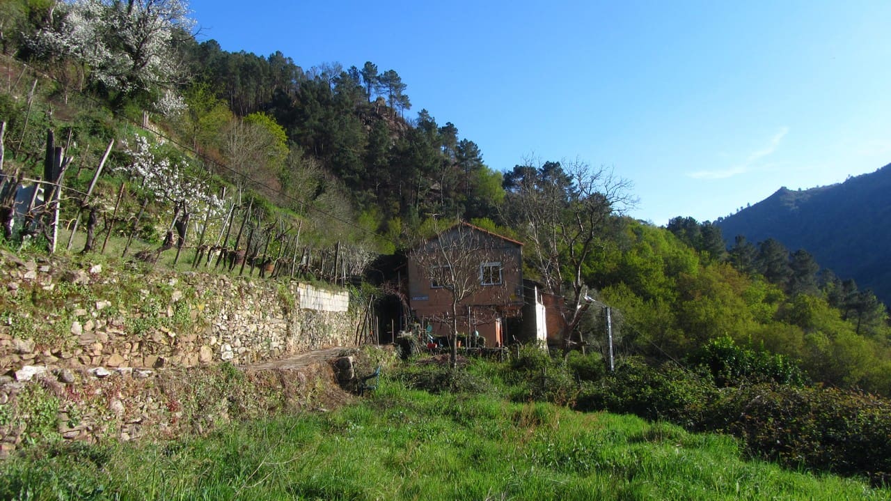 2 bedroom Finca/Country House for sale in Panton - € 50,000 (Ref: 9719351)