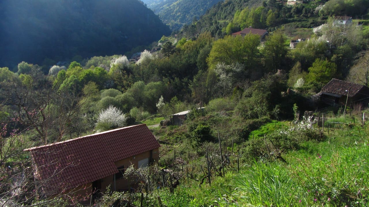 2 bedroom Finca/Country House for sale in Panton - € 50,000 (Ref: 9719351)