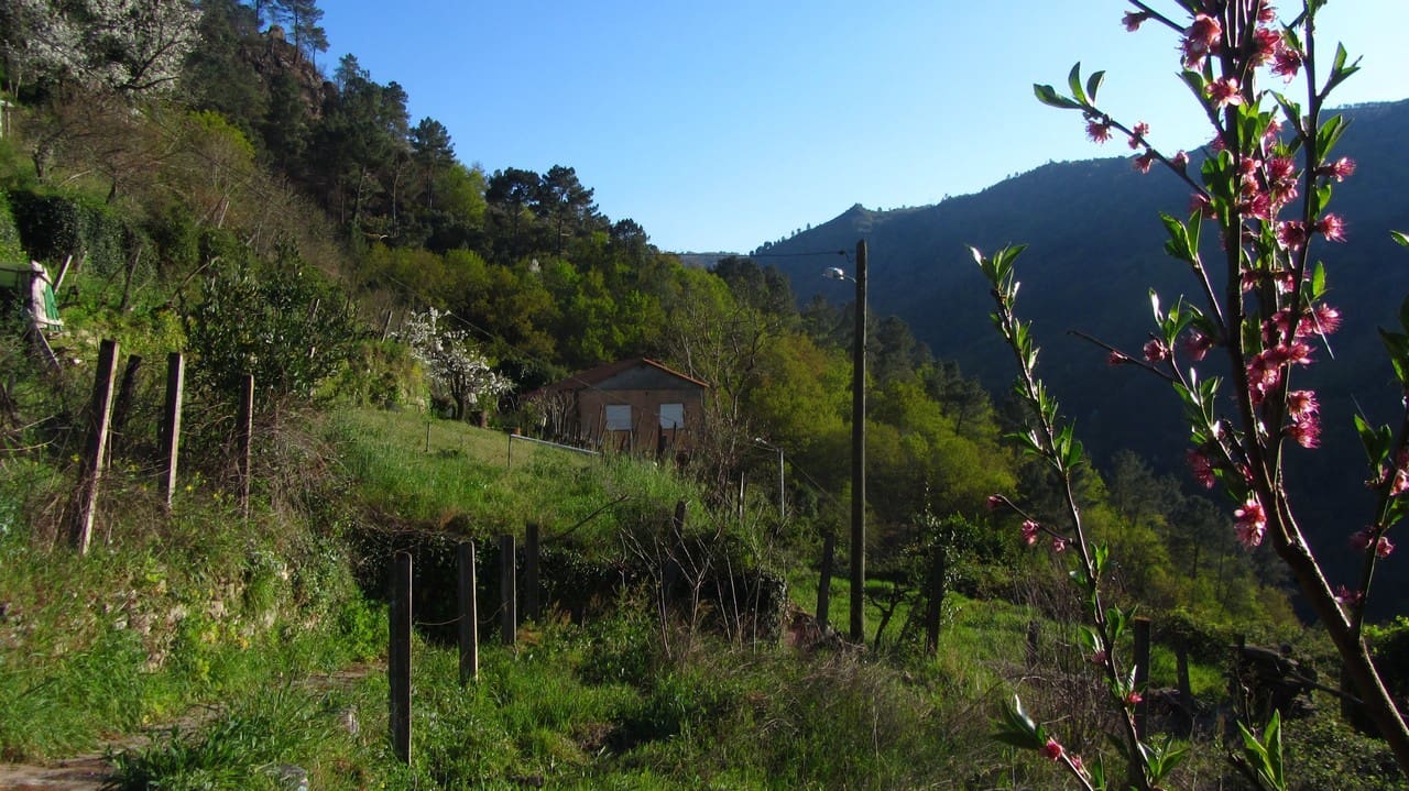 2 bedroom Finca/Country House for sale in Panton - € 50,000 (Ref: 9719351)