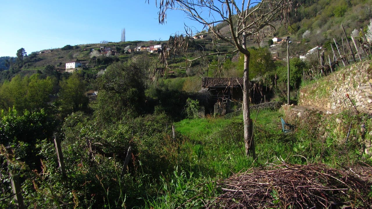 2 bedroom Finca/Country House for sale in Panton - € 50,000 (Ref: 9719351)