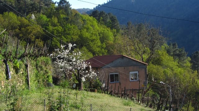 2 Zimmer Finca/Landgut zu verkaufen in Pantón - 50.000 € (Ref: 9719351)