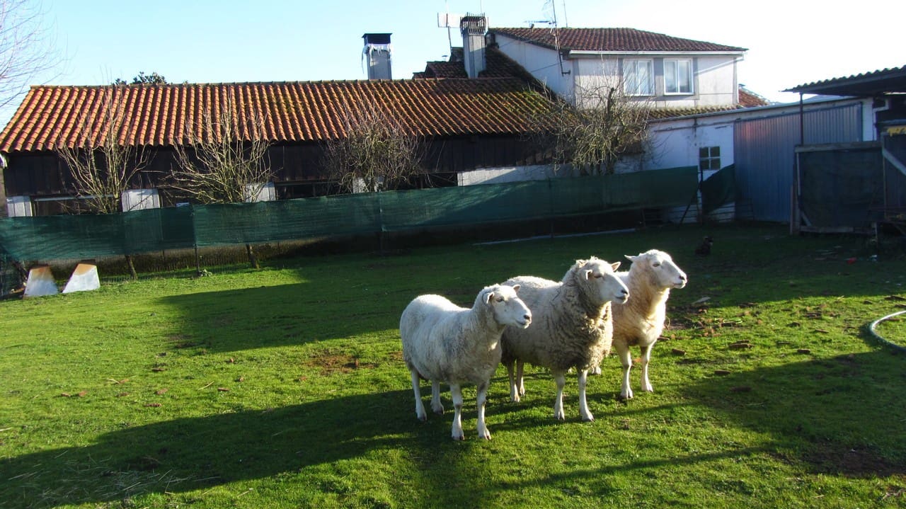 6 bedroom Business for sale in Chantada with garage - € 230,000 (Ref: 9787876)