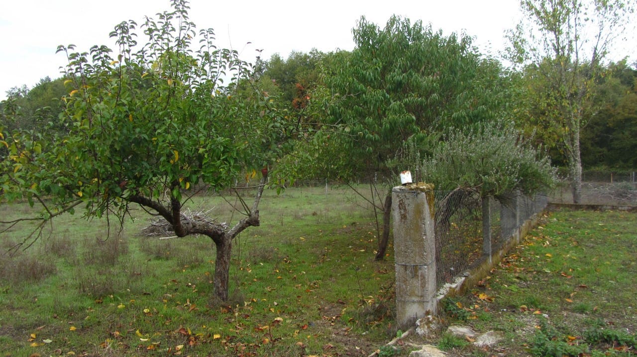 3 soveværelse Finca/Landehus til salg i Panton med garage - € 90.000 (Ref: 9824250)