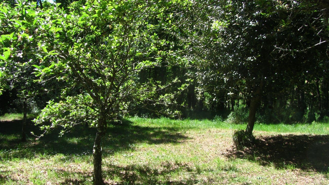 6 sypialnia Finka/Dom wiejski na sprzedaż w Taboada z garażem - 89 000 € (Ref: 9841805)