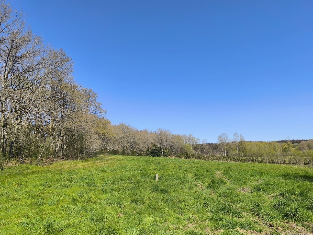 3 chambre Finca/Maison de Campagne à vendre à Palas de Rei avec garage - 117 000 € (Ref: 9858873)