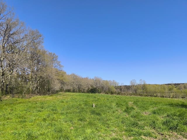 3 chambre Finca/Maison de Campagne à vendre à Palas de Rei avec garage - 117 000 € (Ref: 9858873)